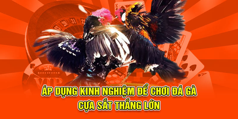 Đá Gà Cựa Sắt Tại 789BET - Trận Đấu Kịch Tính Và Căng Thẳng