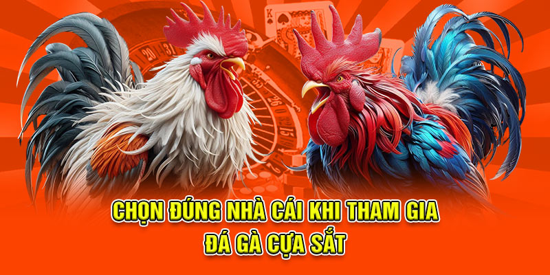 Đá Gà Cựa Sắt Tại 789BET - Trận Đấu Kịch Tính Và Căng Thẳng