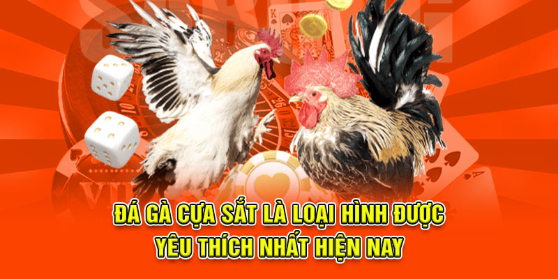Đá Gà Cựa Sắt Tại 789BET - Trận Đấu Kịch Tính Và Căng Thẳng