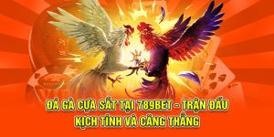 Đá Gà Cựa Sắt Tại 789BET - Trận Đấu Kịch Tính Và Căng Thẳng