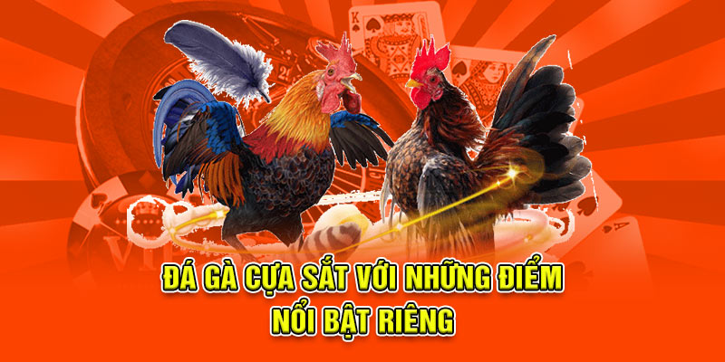 Đá Gà Cựa Sắt Tại 789BET - Trận Đấu Kịch Tính Và Căng Thẳng