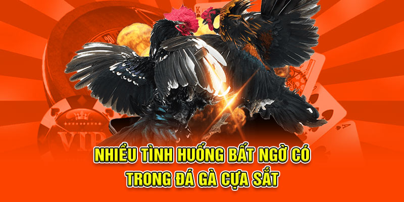 Đá Gà Cựa Sắt Tại 789BET - Trận Đấu Kịch Tính Và Căng Thẳng