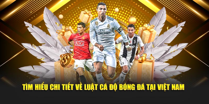 Luật Cá Độ Bóng Đá – Những Điều Người Chơi Cần Biết